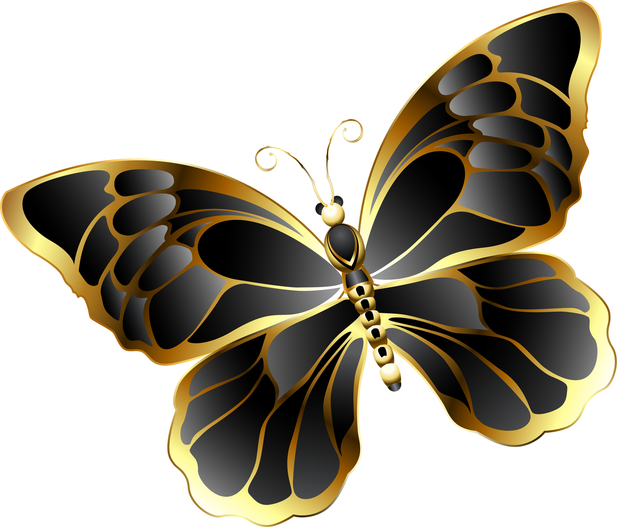 Black butterfly