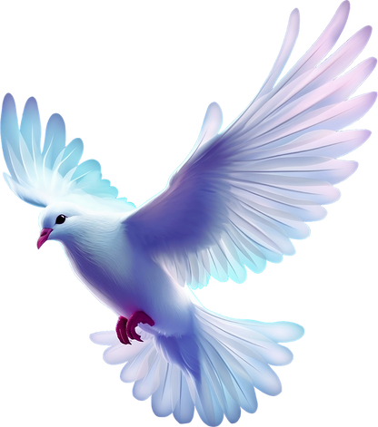 Flying white dove of peace isolated on transparent background
